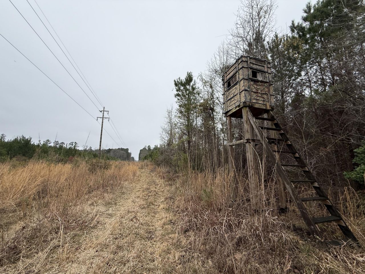 9750 Cottageville Highway Photo 53