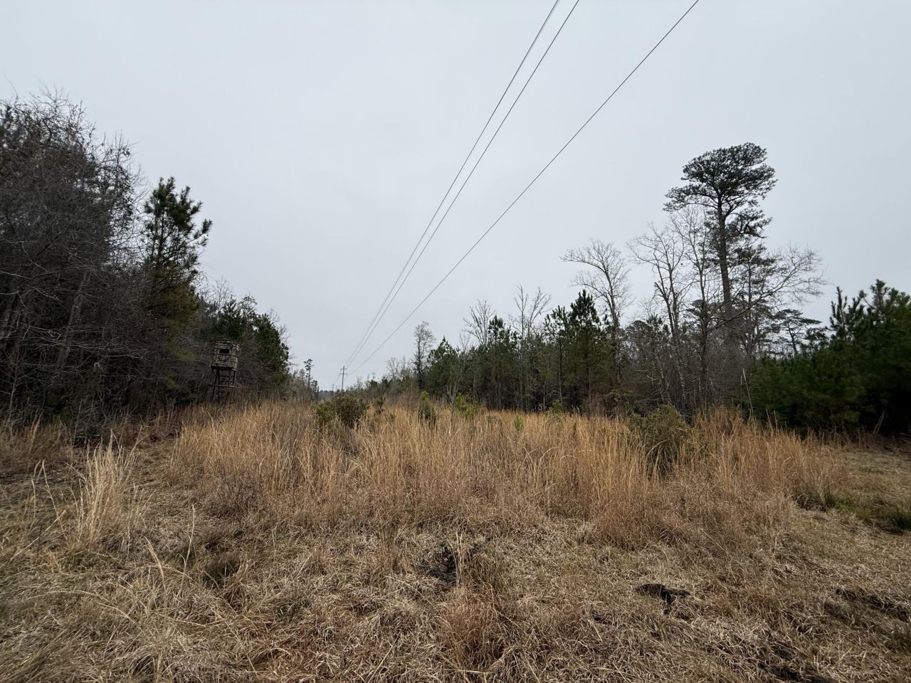 9750 Cottageville Highway Photo 54