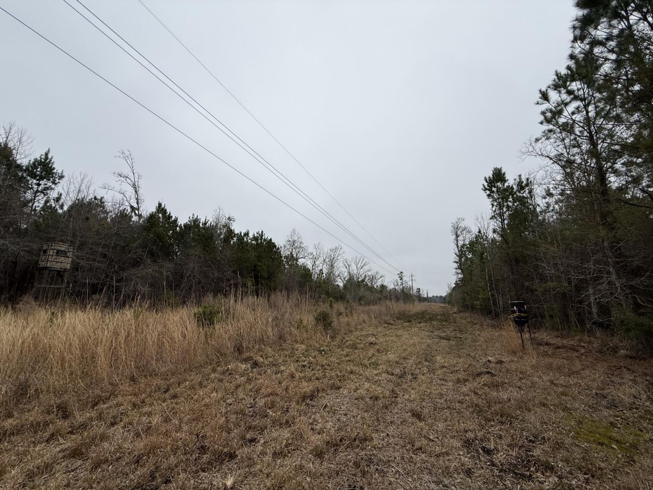 9750 Cottageville Highway Photo 55