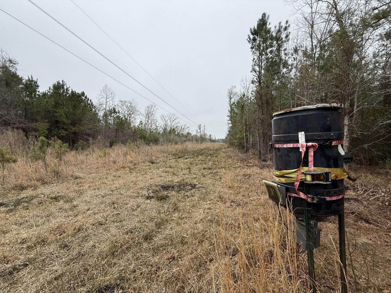 9750 Cottageville Highway Photo 56