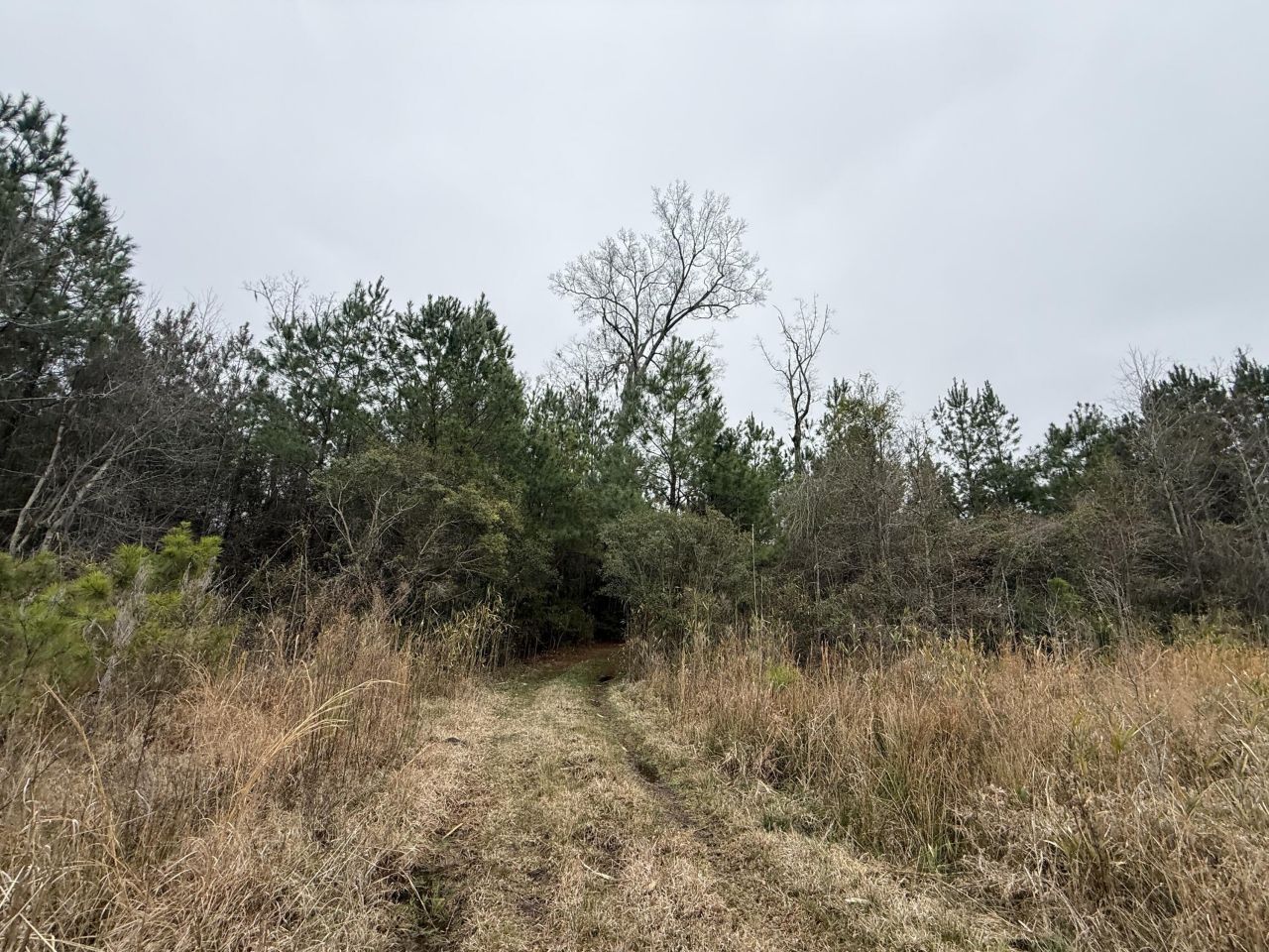 9750 Cottageville Highway Photo 57