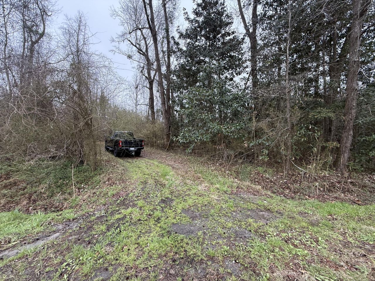 9750 Cottageville Highway Photo 7