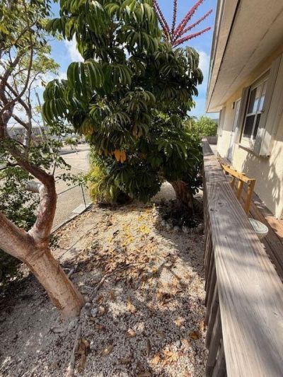 1297 73rd Street Ocean, Marathon, FL 33050 Photo