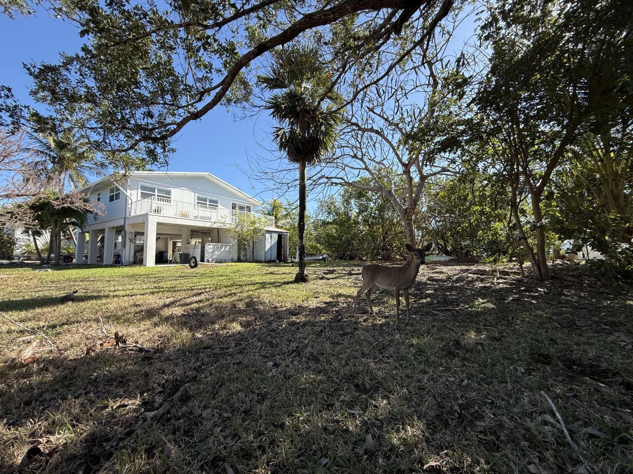 4039 Egret Lane, Big Torch Key, FL 33042 Photo