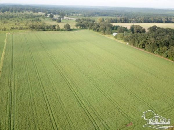 4+ acres Hwy 87, Milton, FL 32570