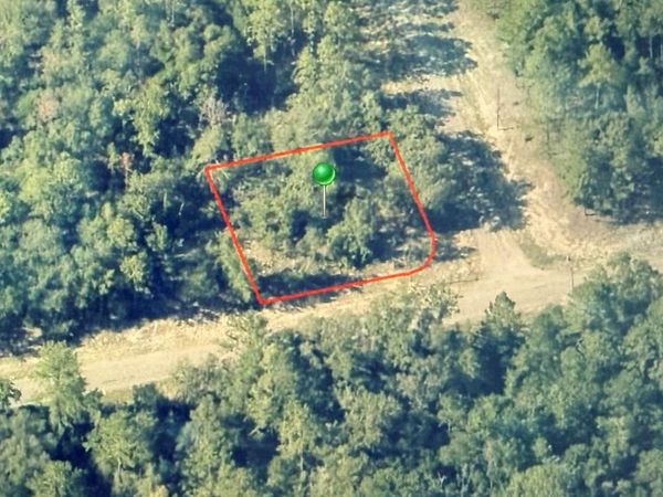 746 E ELSTON PLACE , CITRUS SPRINGS, FL 34434