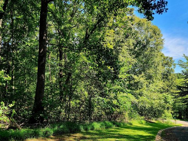 0 Old State Highway 28, Dunlap, TN 37327