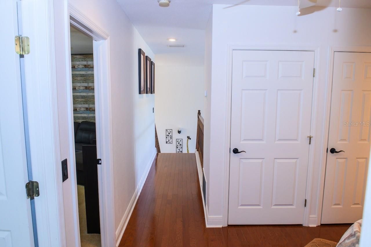 1710 Newberger Road, Lutz, FL 33549 Photo