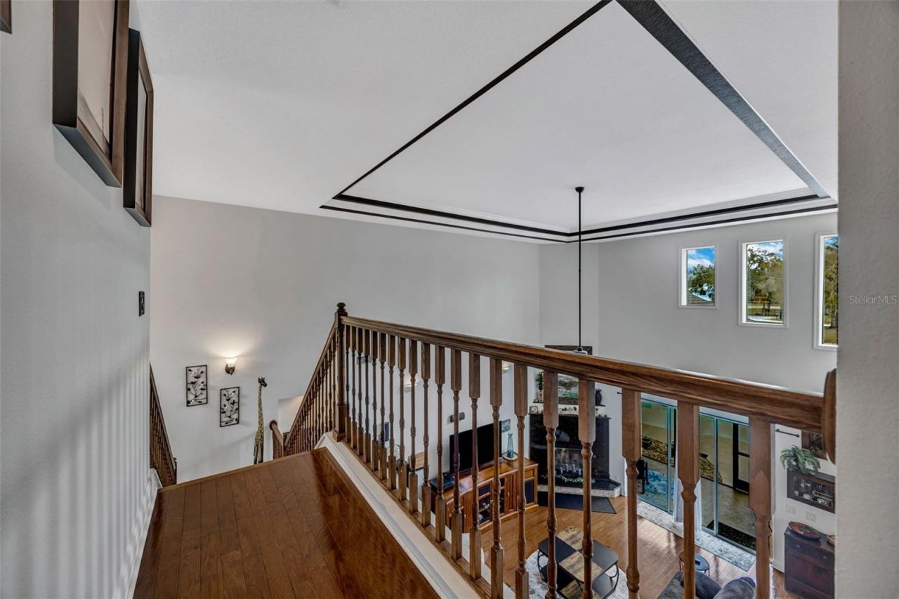 1710 Newberger Road, Lutz, FL 33549 Photo