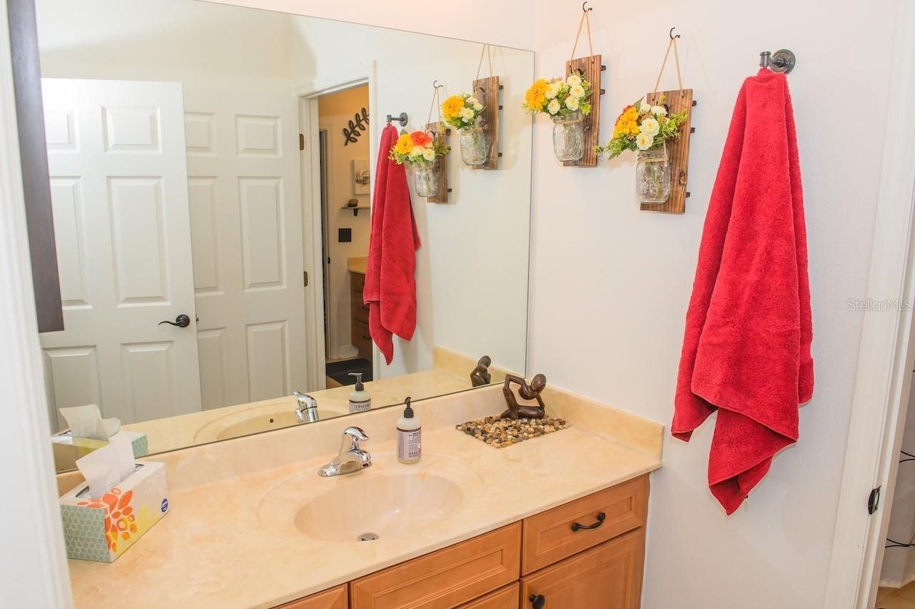 1710 Newberger Road, Lutz, FL 33549 Photo