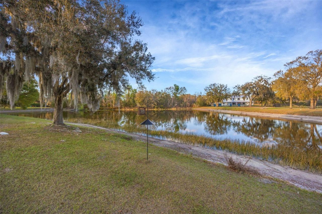 1710 Newberger Road, Lutz, FL 33549 Photo