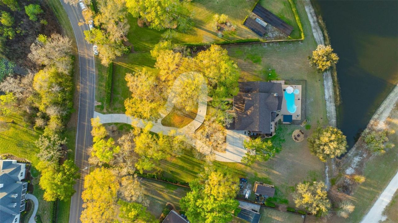 1710 Newberger Road, Lutz, FL 33549 Photo