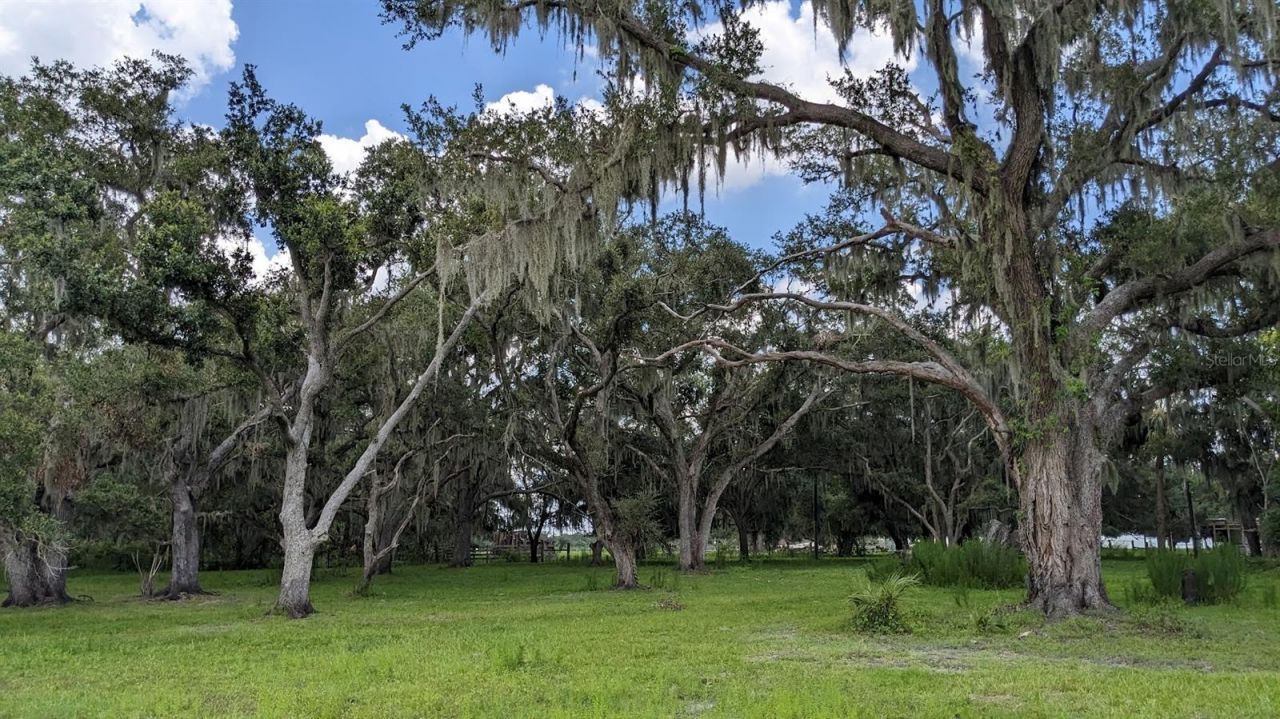 12980 And 12990 River Road, Myakka City, FL 34251 Photo