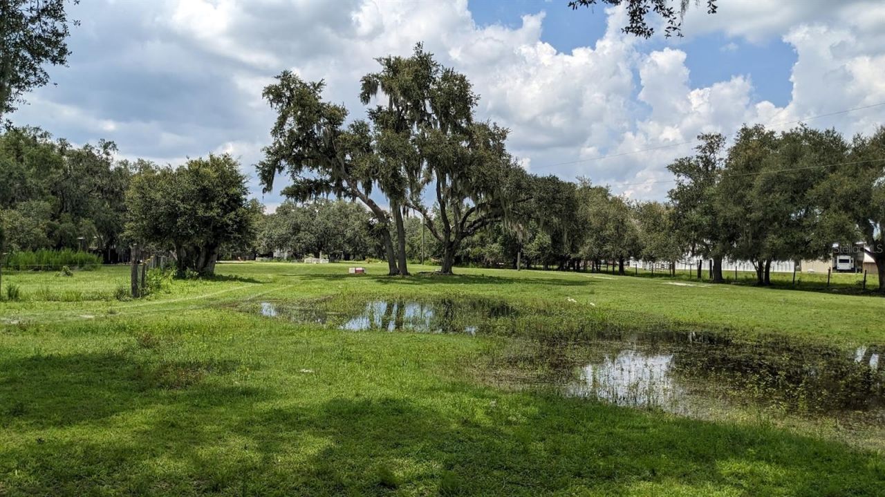 12980 And 12990 River Road, Myakka City, FL 34251 Photo