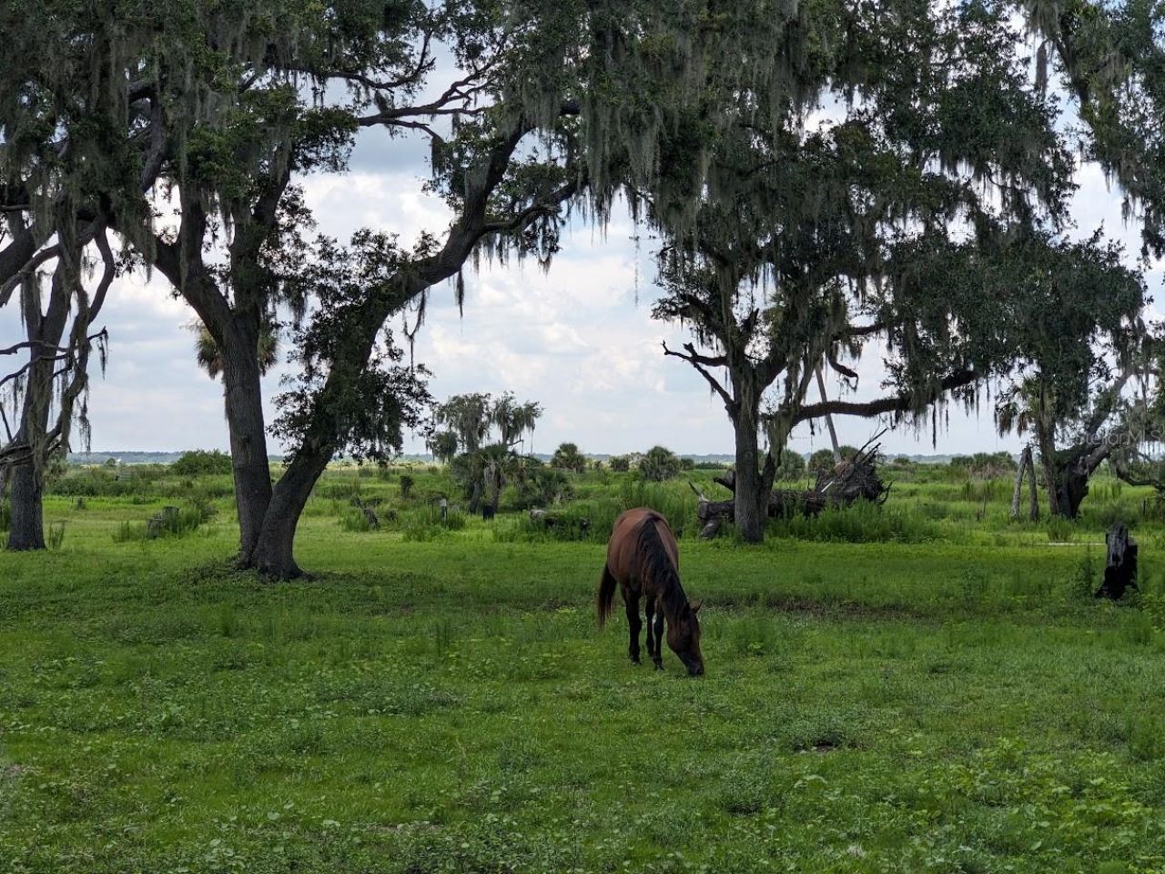 12980 And 12990 River Road, Myakka City, FL 34251 Photo