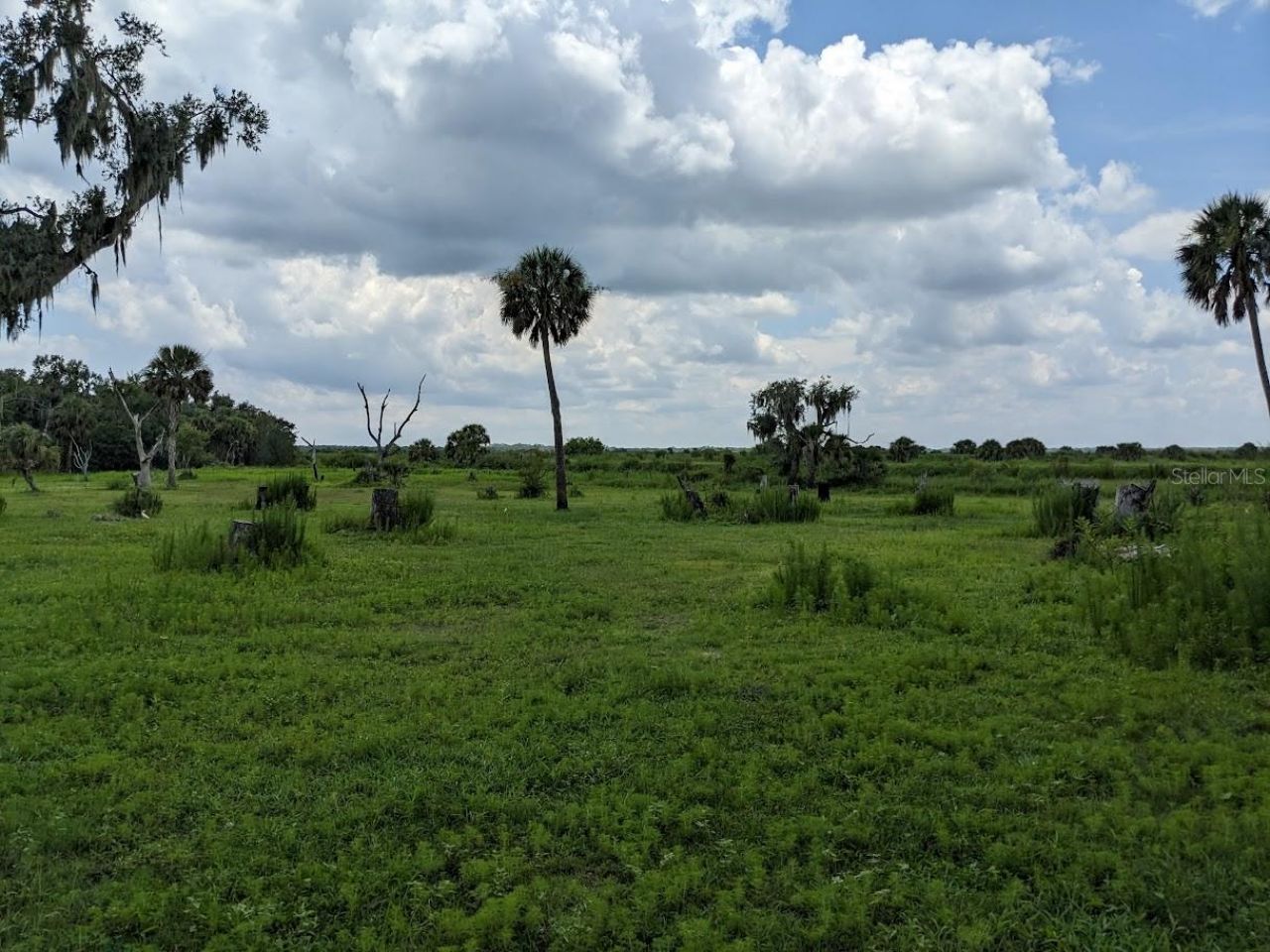 12980 And 12990 River Road, Myakka City, FL 34251 Photo