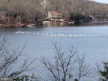 SOUTHWOOD DR-LAKE FRONT, CROSS JUNCTION, VA 22625