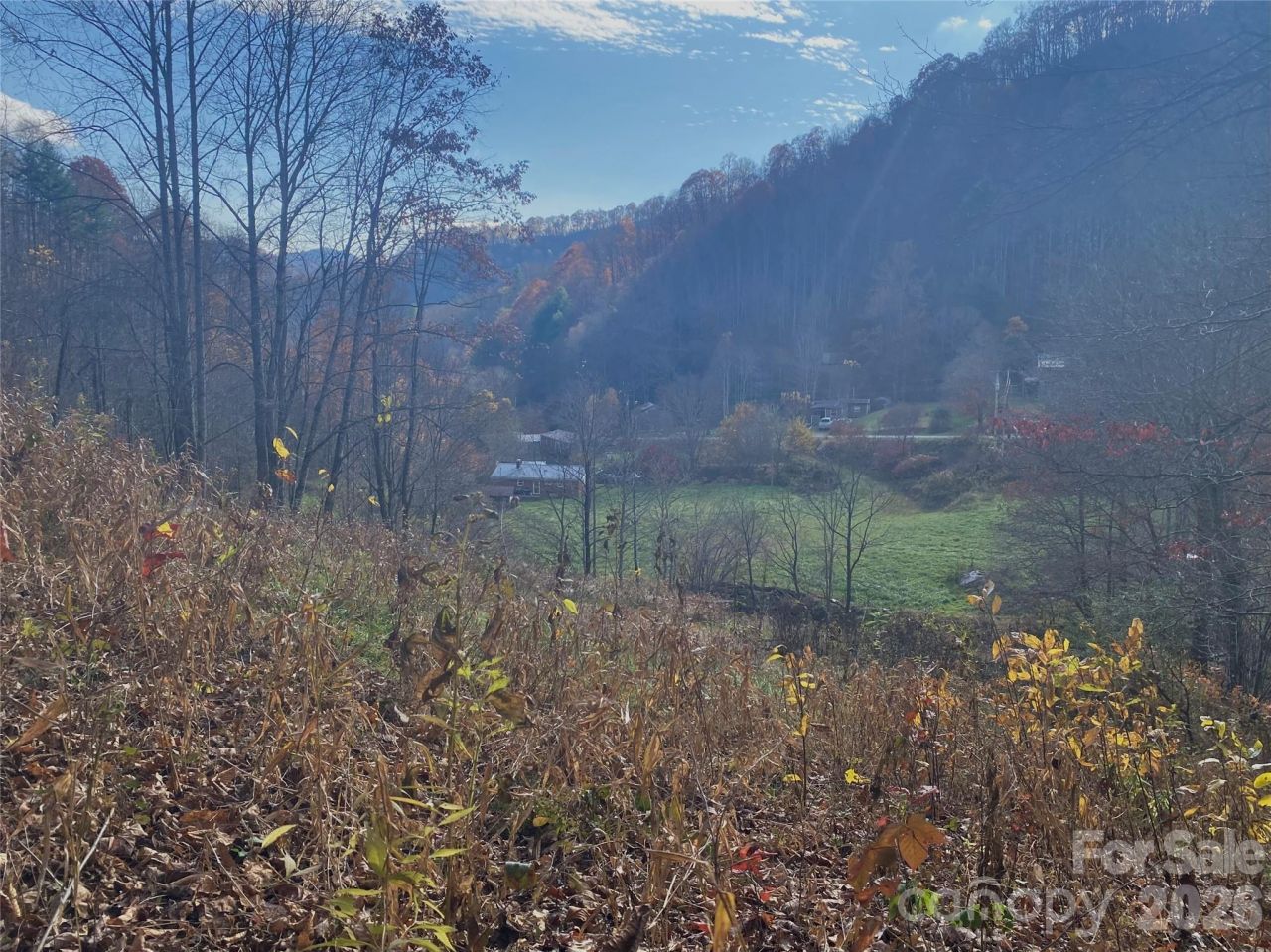 00 Foster Creek Road, Marshall, NC 28753 Main Photo