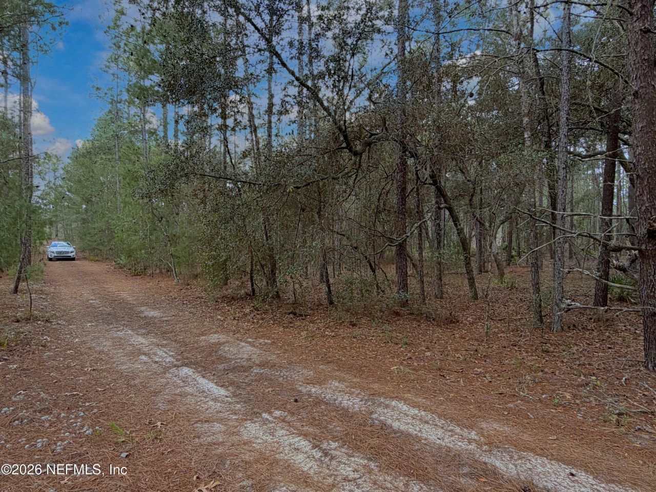 215 Rifle Road, Florahome, FL 32140 Photo