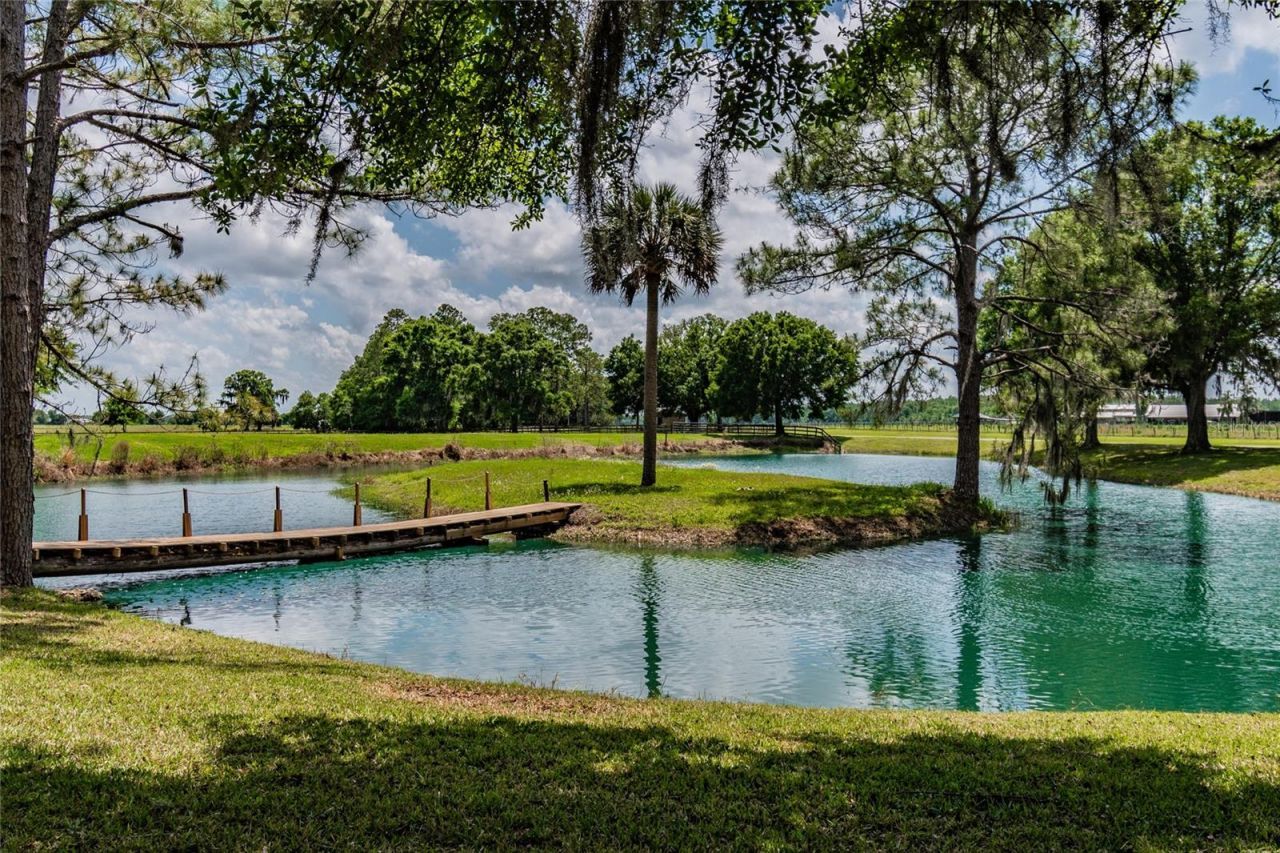 6225, 6229 Deen Still Road, Lakeland, FL 33809 Photo