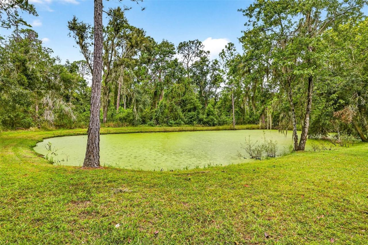 13887 Gavin Road , Dover, FL 33527 Photo