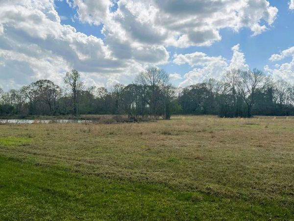 TBD Maglone Ln, Slaughter, LA 70777