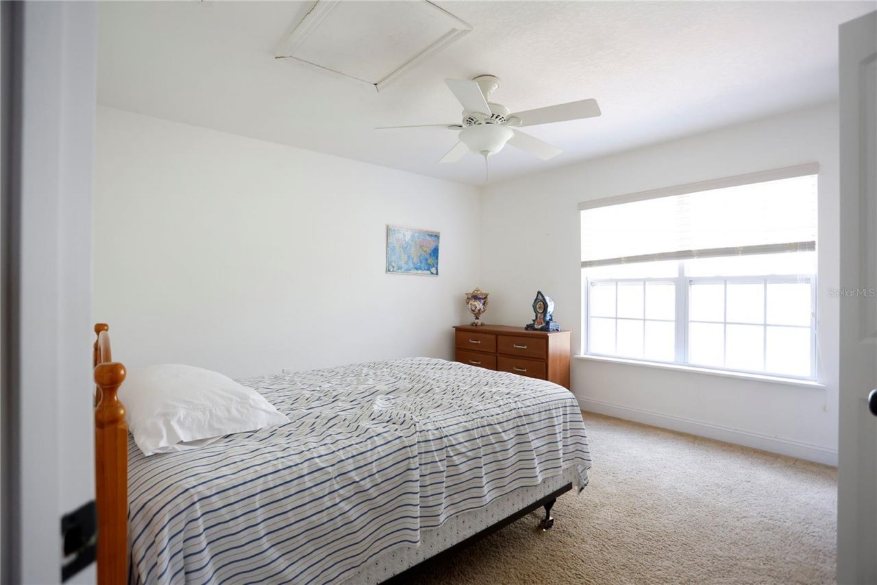 23305 June Bug Trail, Brooksville, FL 34602 Photo