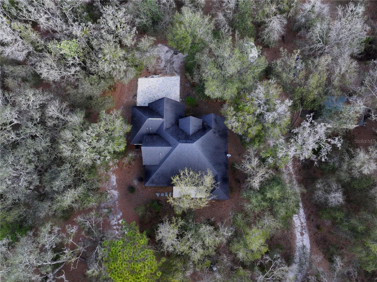 23305 June Bug Trail, Brooksville, FL 34602 Photo