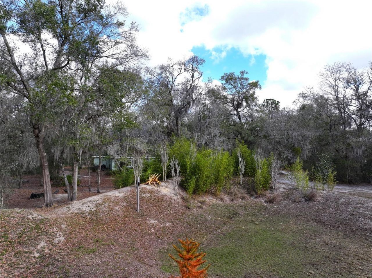 23305 June Bug Trail, Brooksville, FL 34602 Photo