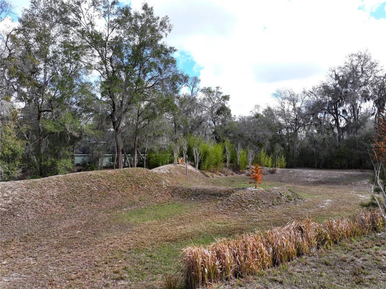 23305 June Bug Trail, Brooksville, FL 34602 Photo