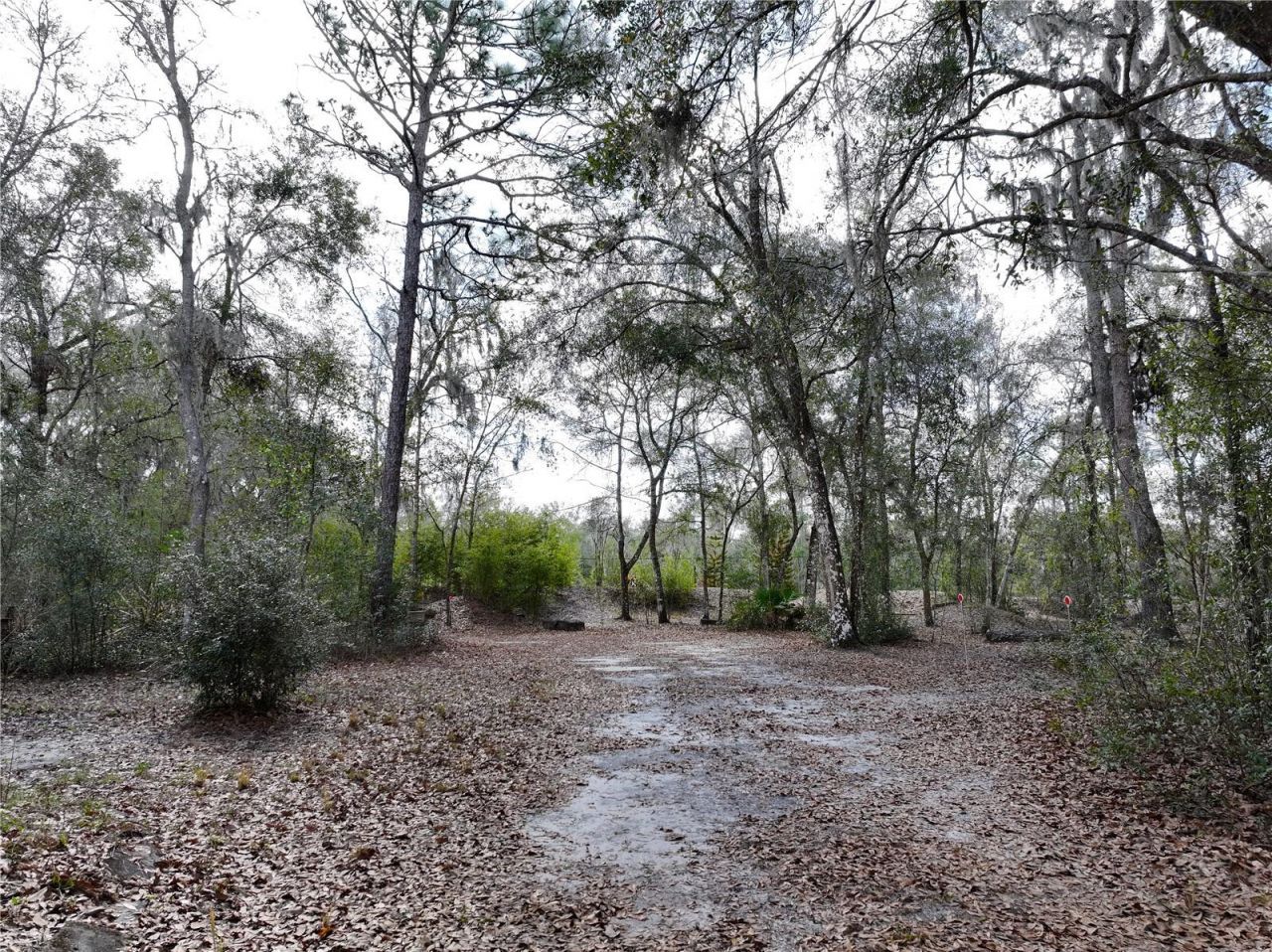 23305 June Bug Trail, Brooksville, FL 34602 Photo