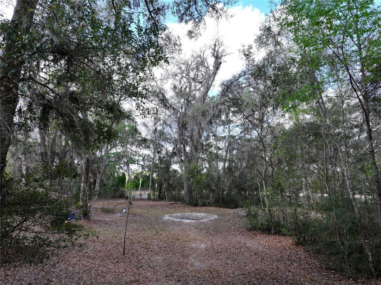 23305 June Bug Trail, Brooksville, FL 34602 Photo