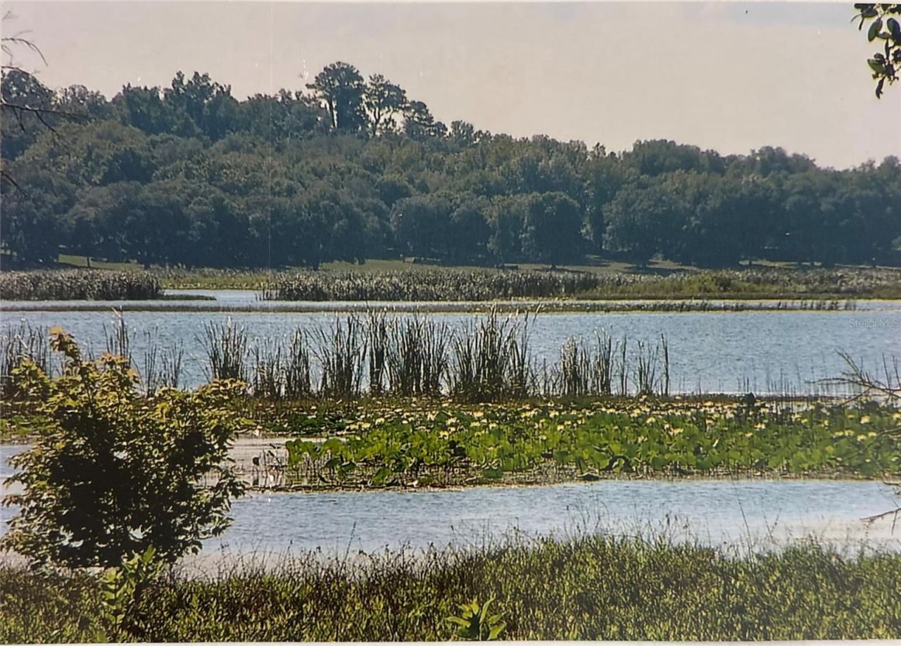 23305 June Bug Trail, Brooksville, FL 34602 Photo