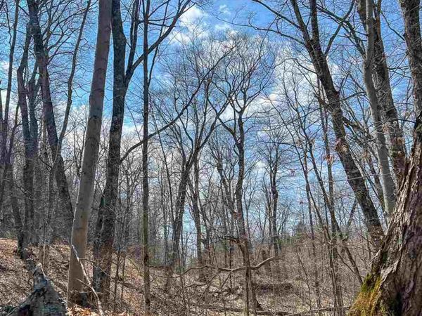 Lot 247 White Birch Road, Beaver Island, MI 49782