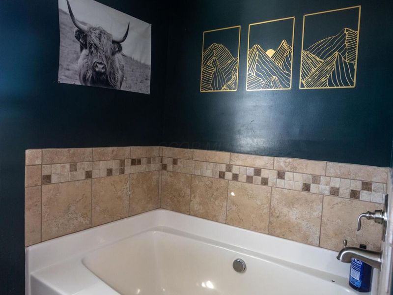 377 Puleo Drive, London, OH 43140 Photo 22