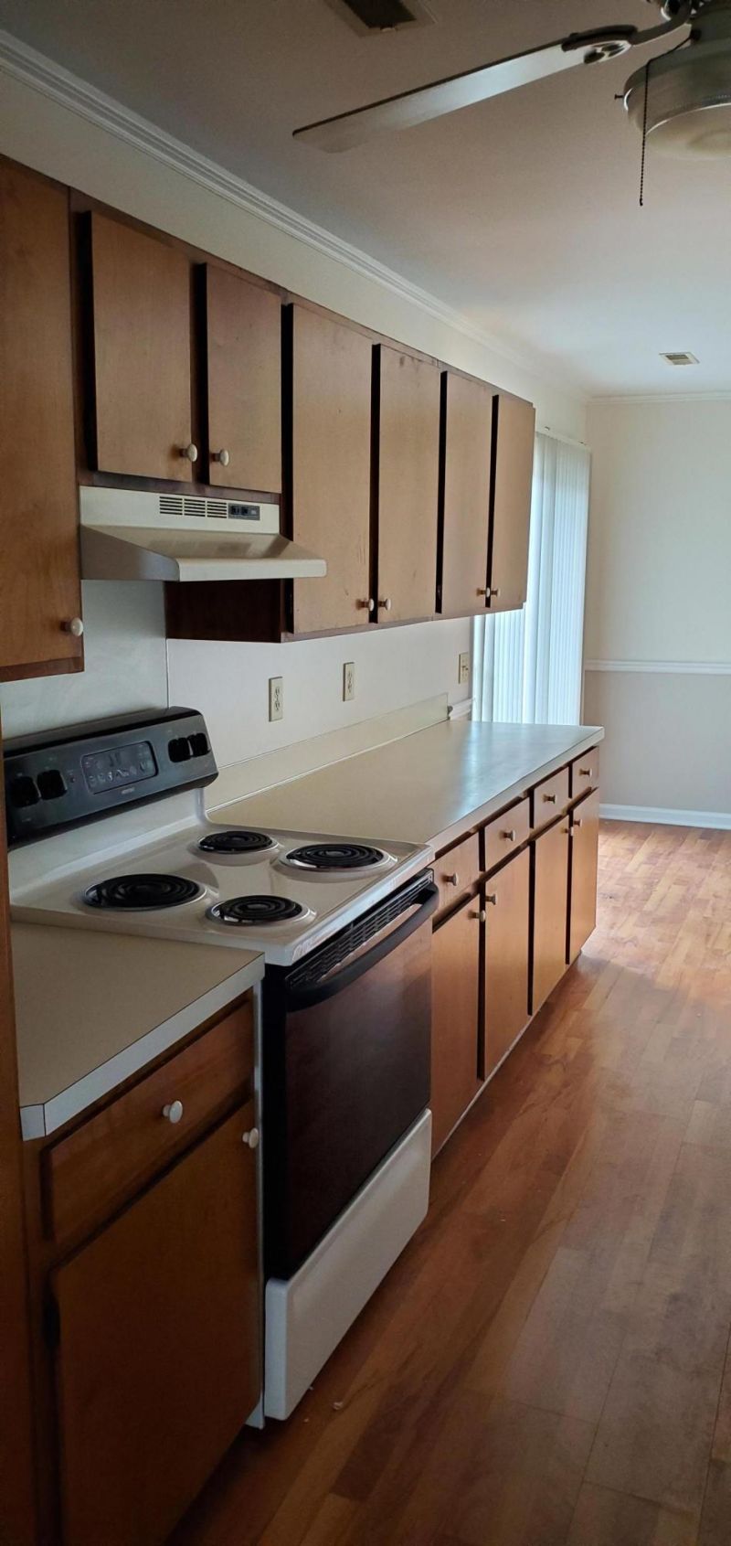 107 Bronwen Court Photo 6