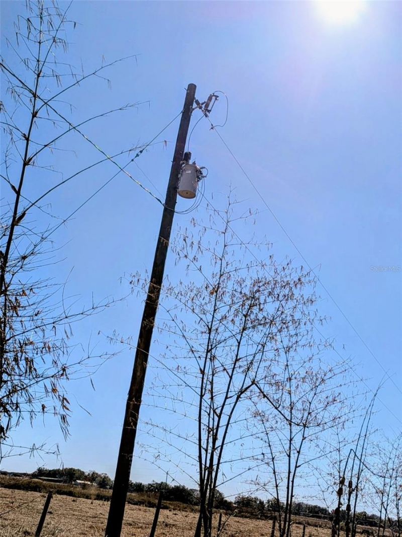 46683 Peeples Lane, Wauchula, FL 33873 Photo