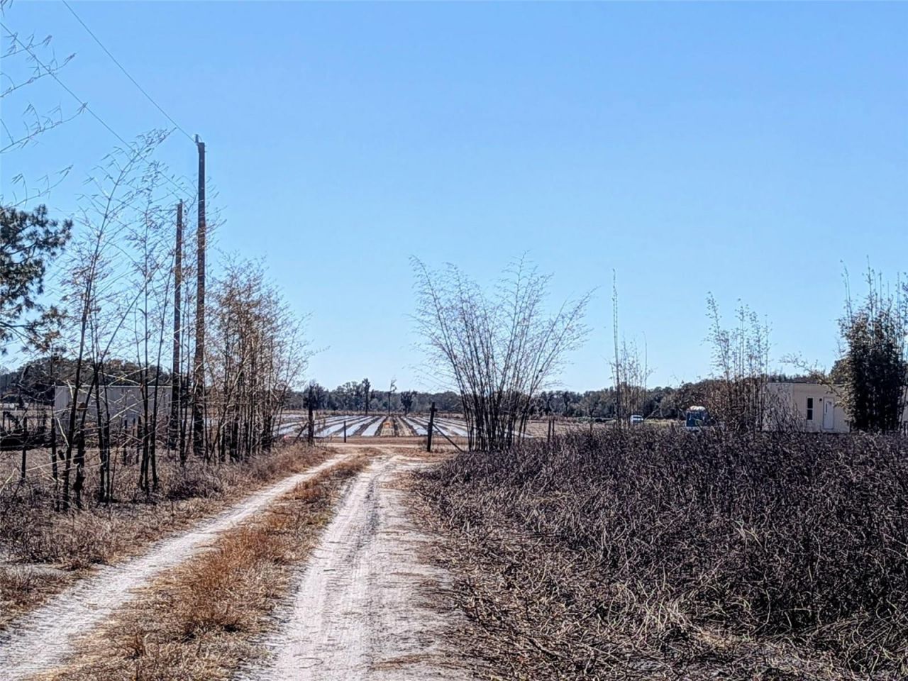 46683 Peeples Lane, Wauchula, FL 33873 Photo