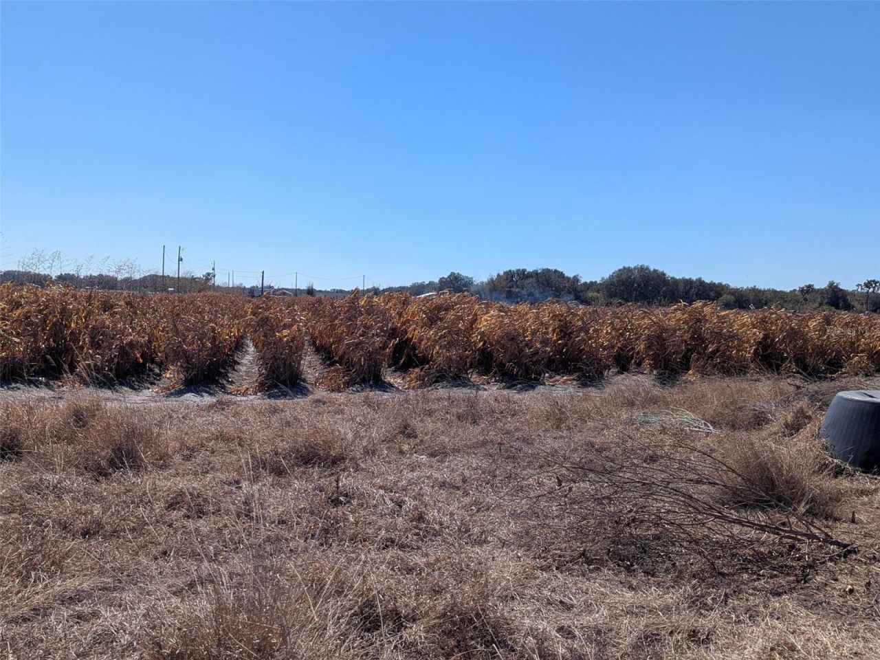 46683 Peeples Lane, Wauchula, FL 33873 Photo