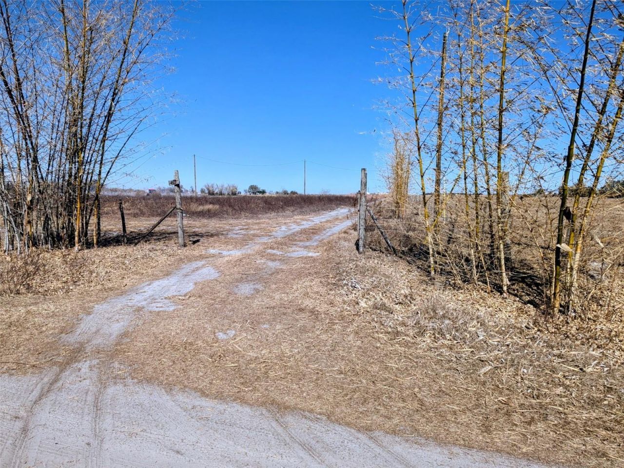 46683 Peeples Lane, Wauchula, FL 33873 Photo