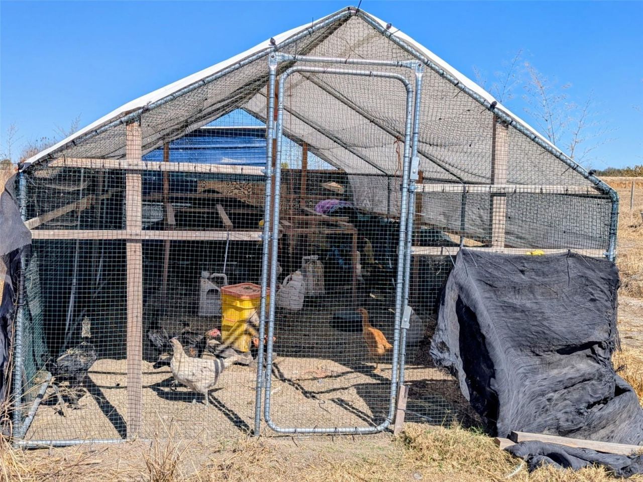 46683 Peeples Lane, Wauchula, FL 33873 Photo