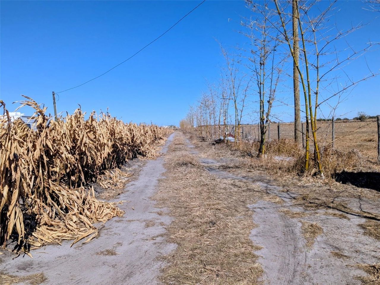 46683 Peeples Lane, Wauchula, FL 33873 Photo