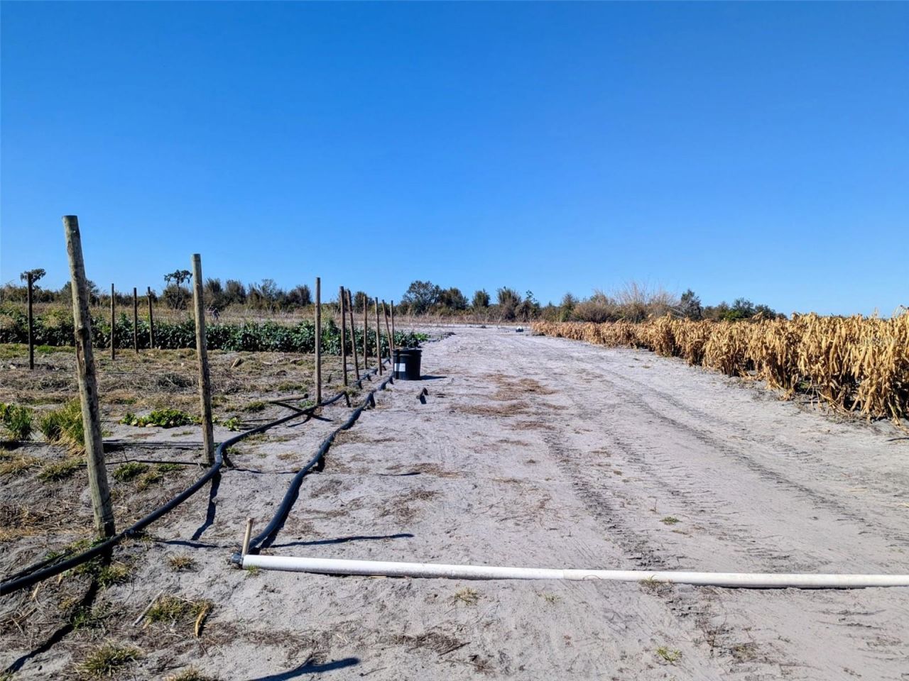 46683 Peeples Lane, Wauchula, FL 33873 Photo