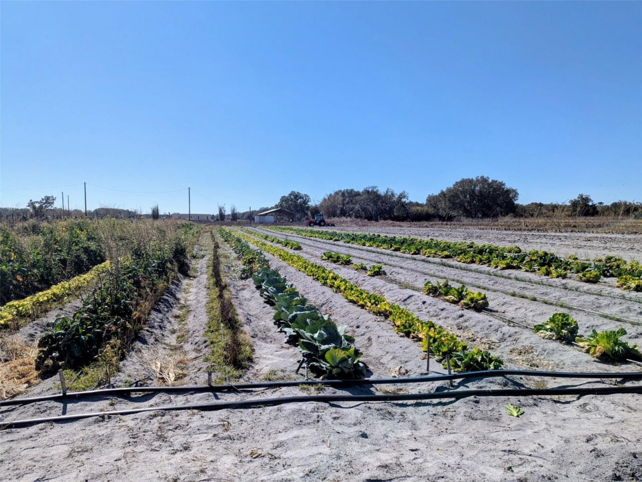 46683 Peeples Lane, Wauchula, FL 33873 Photo