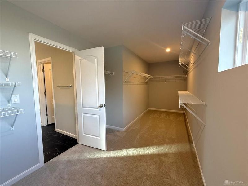 205 Dan Haven Place, Springboro, OH 45066 Photo 24