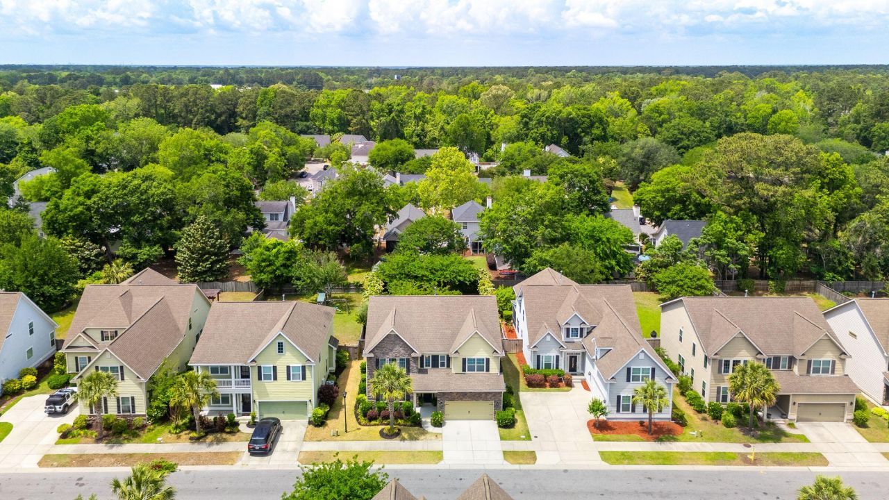 2254 Show Basket Way Photo 81