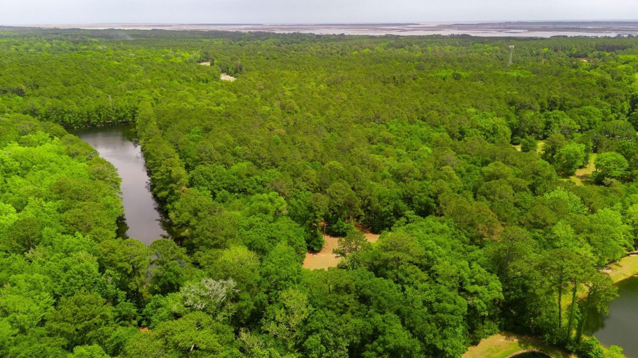 2254 Show Basket Way Photo 84