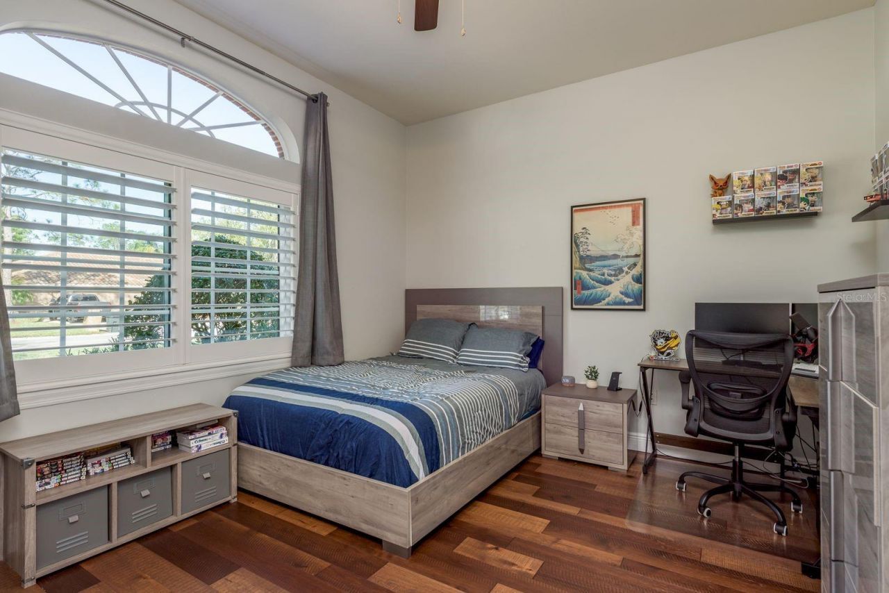 1499 E Lake Woodlands Parkway, Oldsmar, FL 34677 Photo