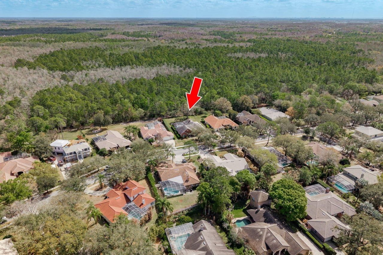 1499 E Lake Woodlands Parkway, Oldsmar, FL 34677 Photo