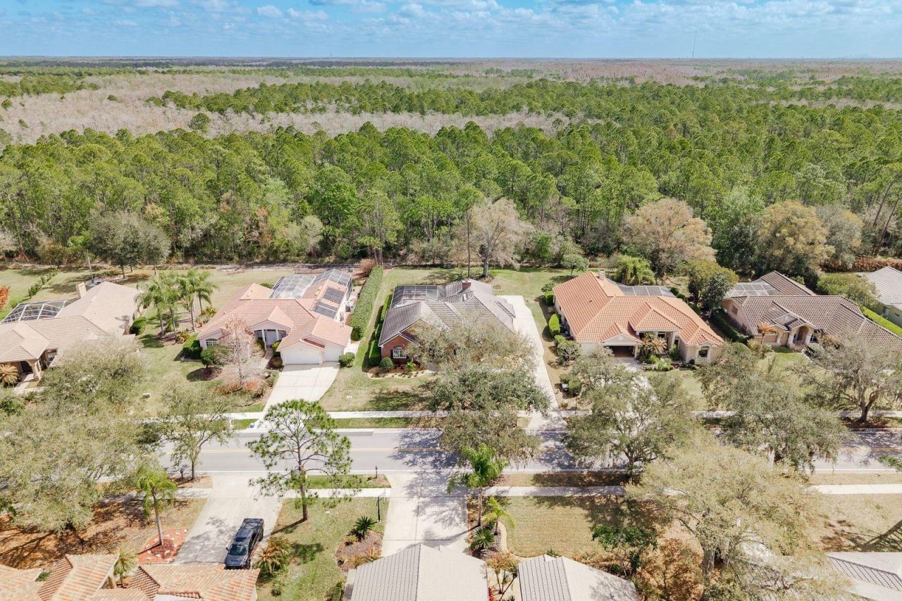 1499 E Lake Woodlands Parkway, Oldsmar, FL 34677 Photo